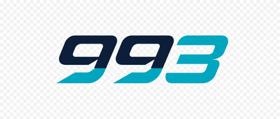 Logo 993